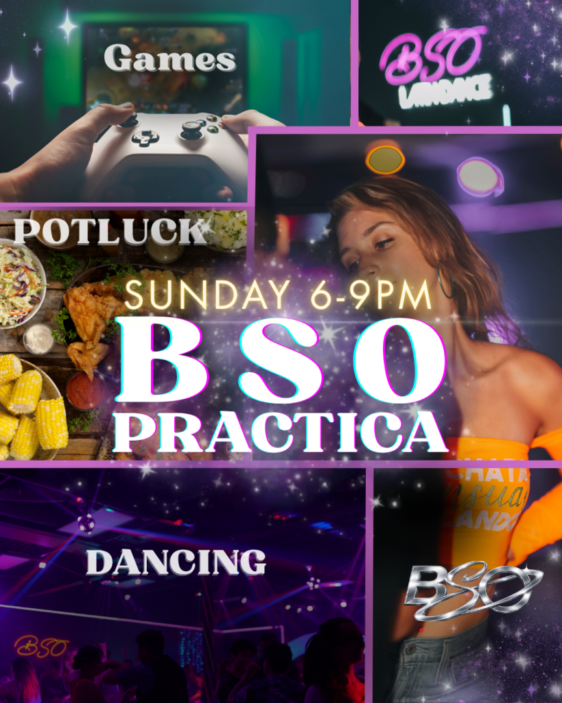 BSO Practica